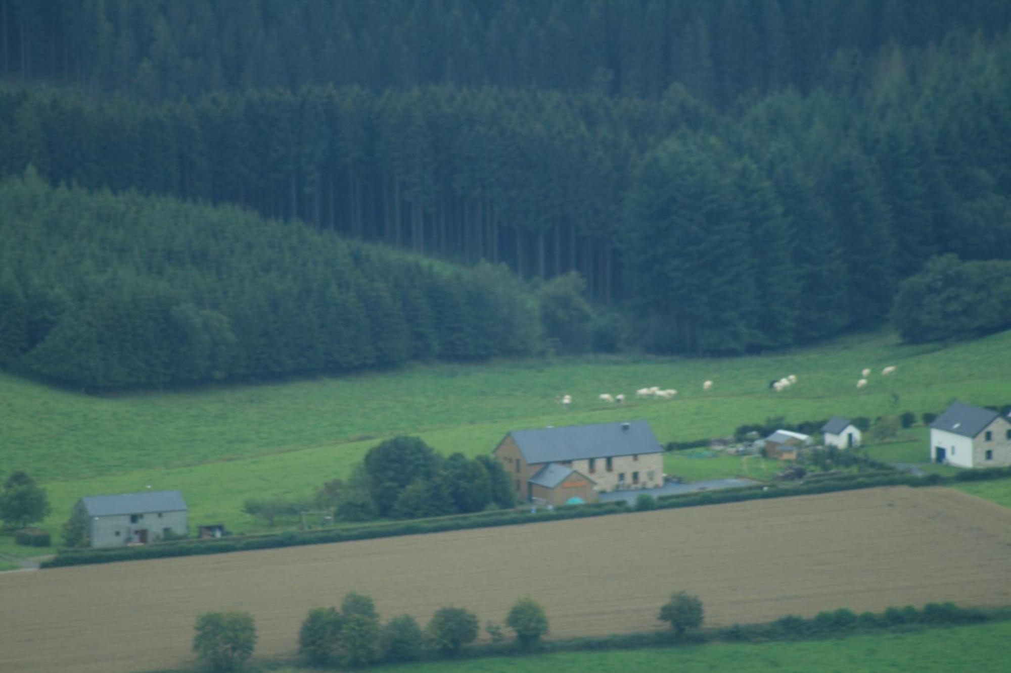 Chambres D'Hotes Les Trappeurs Silence & Nature Tenneville Εξωτερικό φωτογραφία